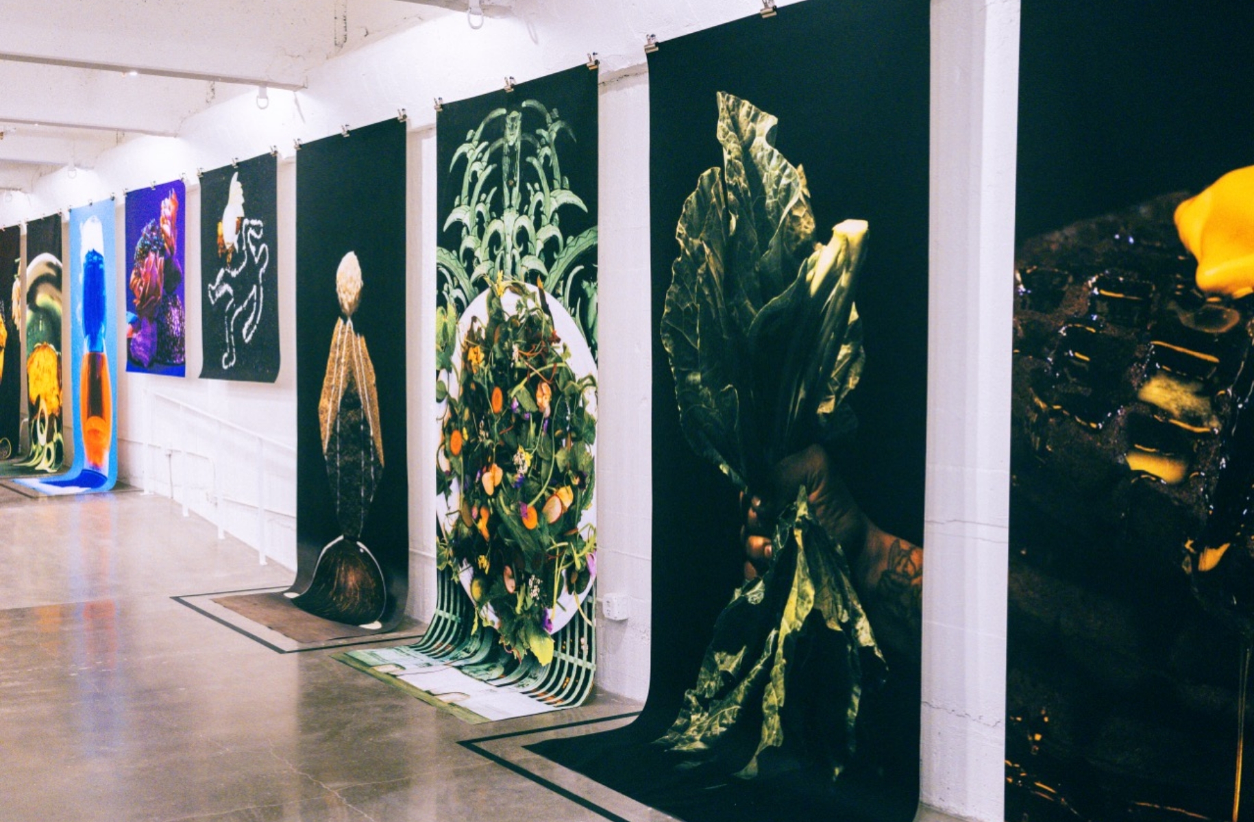 close up of prints hanging from gallery wall