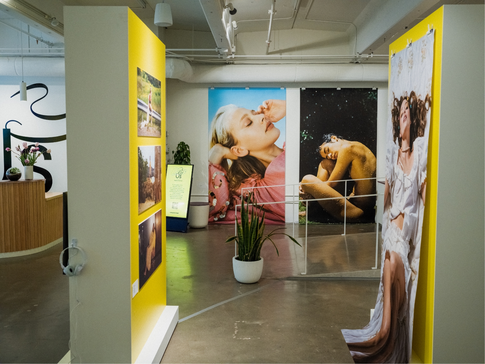 2 moveable walls in gallery showing with prints of video stills from Carlotta's work.