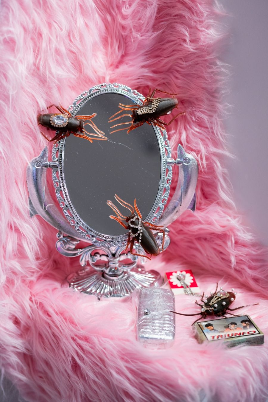 Cockroaches on an ornate mirror with a pink furry background. Nearby are a bottle, a deck of cards, and a small tray with red dice.